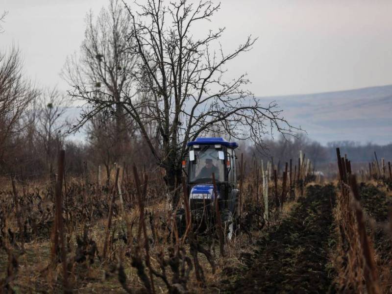 სოფლის მხარდაჭერის პროგრამის ბიუჯეტი გაორმაგდება